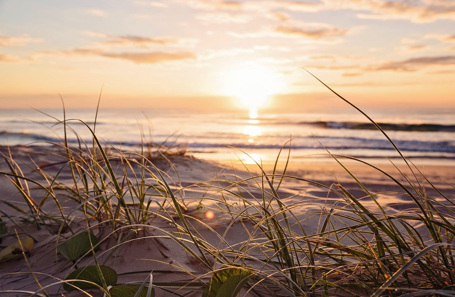 5 Local Walks to Refresh the Soul