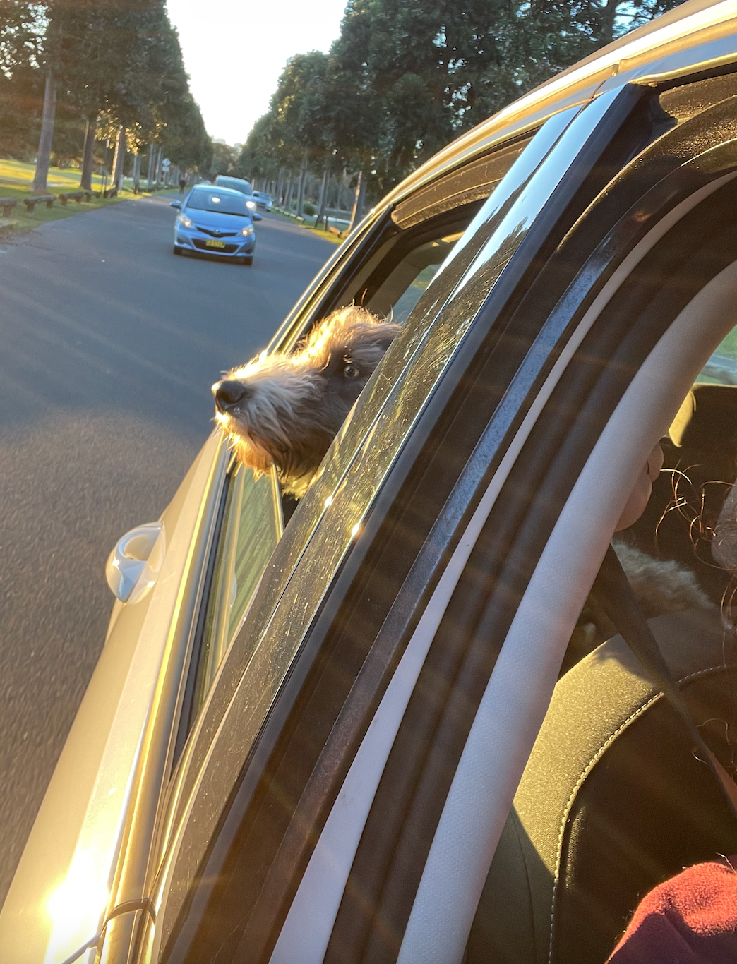 A Joyful Journey: The Ultimate Family Road Trip