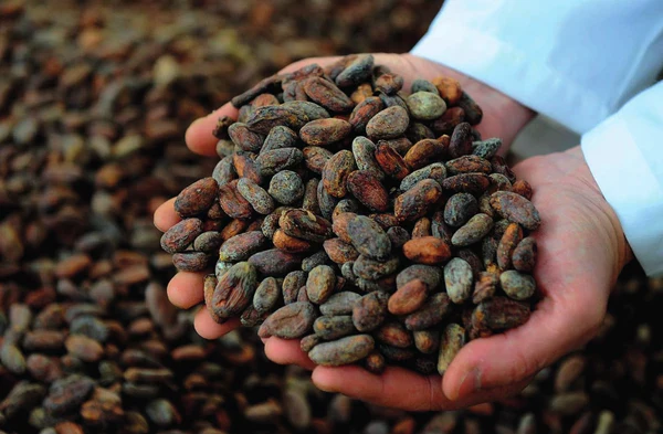 Holding Cocoa